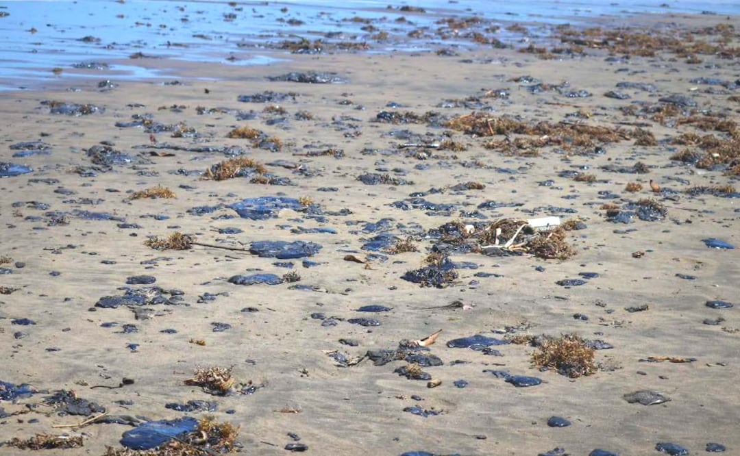 Foto: Cuartoscuro (Pemex admite responsabilidad en derrame del Golfo de México y destituye a funcionarios)