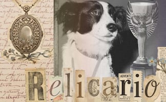 ¡Se robaron la Copa del Mundo y un perro la encontró!: La historia del Mundial de 1966 en Inglaterra