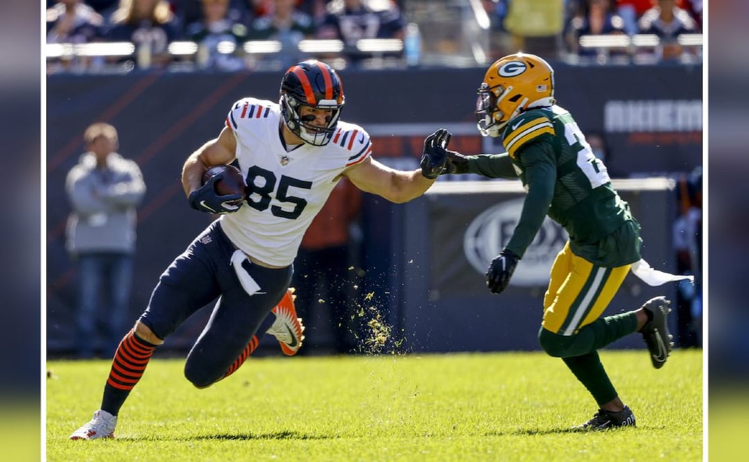 Foto: AP ( ¿Cole Kmet será el próximo Rob Gronkowski en New England?)