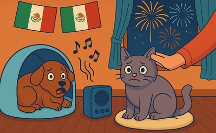 Consejos para que tus mascotas no se asusten con la pirotecnia en las fiestas patrias