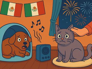 Consejos para que tus mascotas no se asusten con la pirotecnia en las fiestas patrias