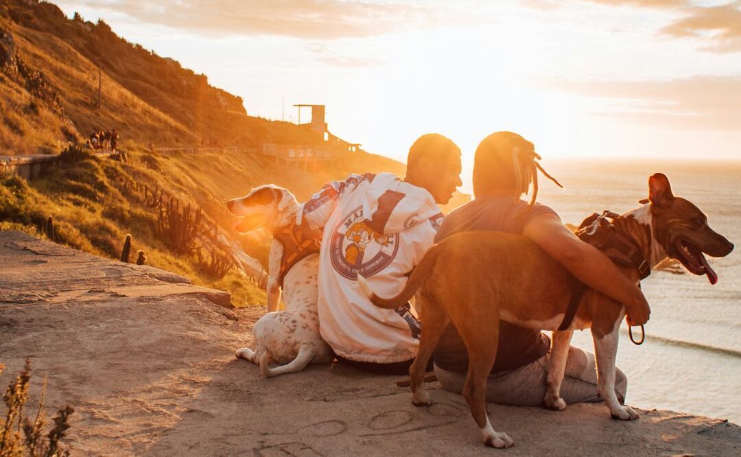 ¿Existe una oración para pedir por la salud y el bienestar de nuestras mascotas?