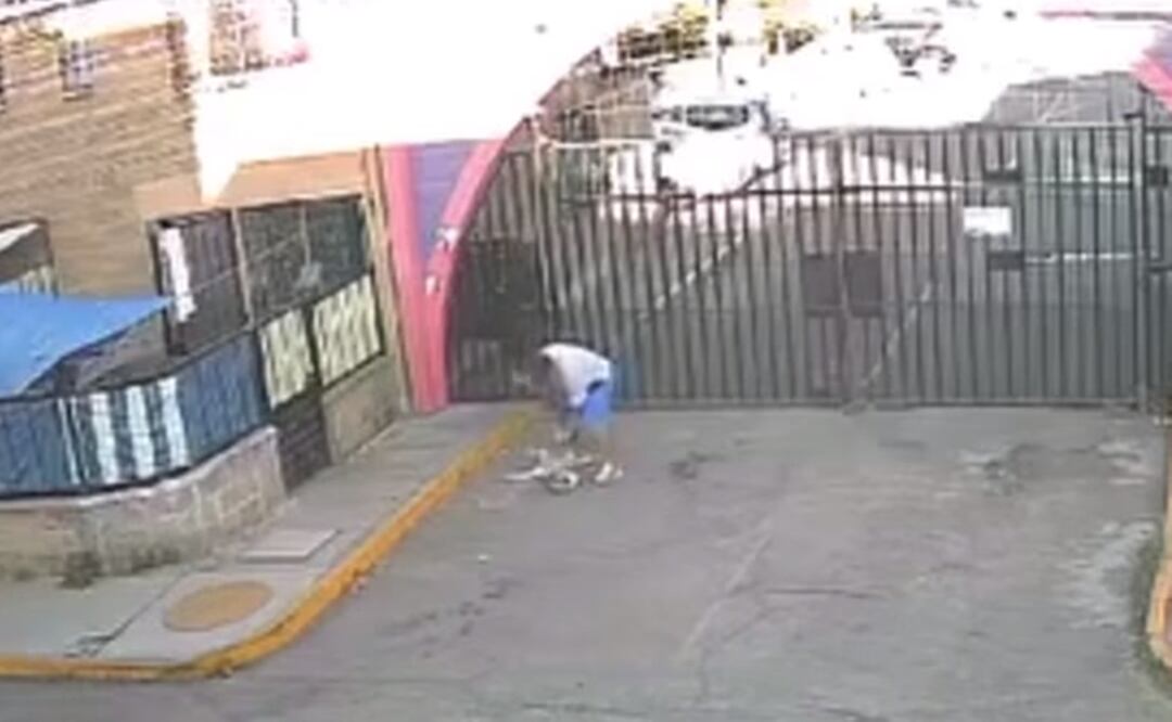 Video: Hombre golpea brutalmente a su perrita por no querer caminar, en Tultepec