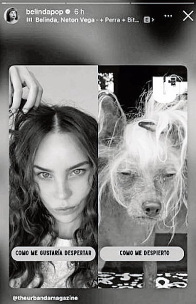 Belinda publica meme (Foto: Instagram)