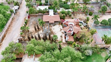 La finca que hundió a Rocha Moya y desató la guerra entre "Los Chapitos" y "La Mayiza"