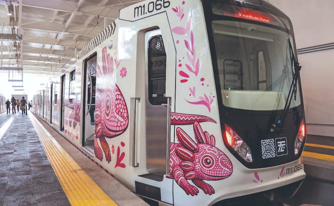 Tren Ligero “El Ajolote”. Karla Guerrero. El Gráfico