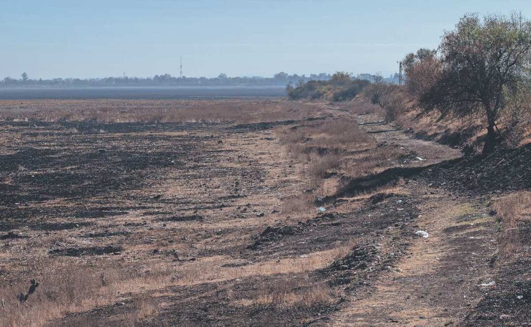 ¡Está seca! A la laguna de Zumpango le pegó la falta de agua