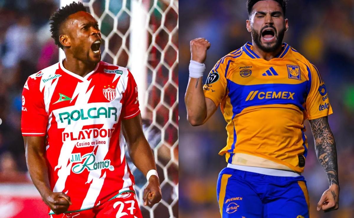 Necaxa vs Tigres ¿Dónde y a qué hora ver EN VIVO el partido de ida HOY ...