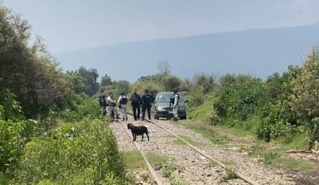 Vecinos ya ni se espantan en Valle de Chalco, cuántos cuerpos van este mes?