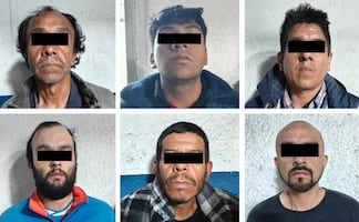 Hallan cocodrilo, ajolotes y droga durante operativo en la Venustiano Carranza, hay seis detenidos