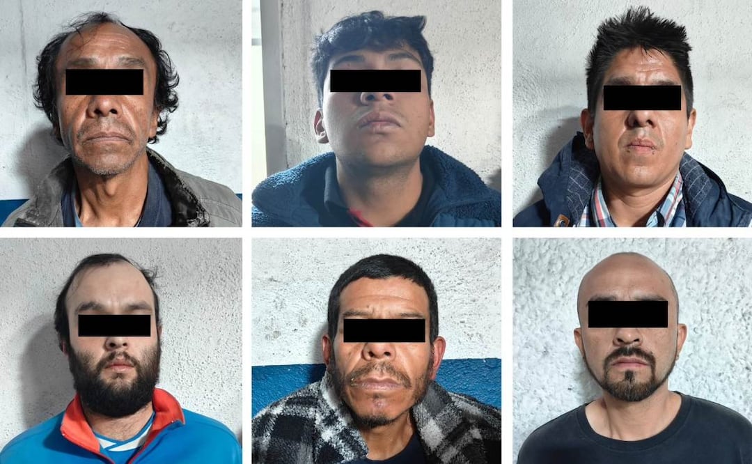 Hallan cocodrilo, ajolotes y droga durante operativo en la Venustiano Carranza, hay seis detenidos. Foto: (Especial)