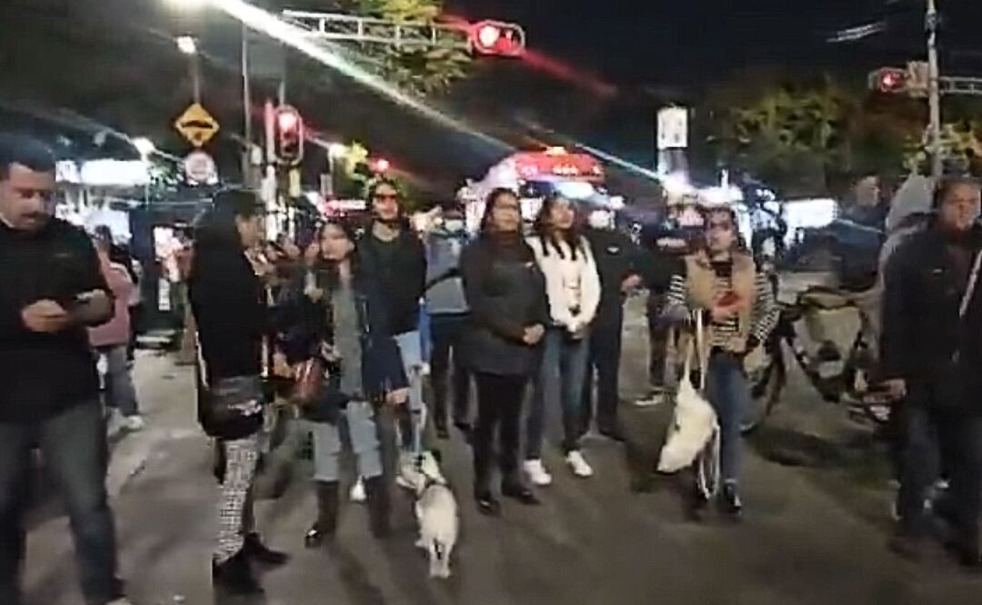 Clausura de albergue animal en la Benito Juárez: las dos versiones 