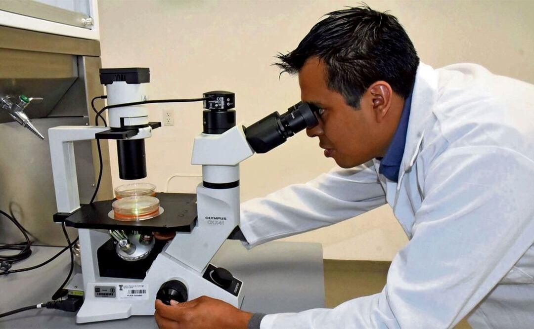 El Conahcyt te quiere dar un varito. Checa cómo puedes conseguirlo