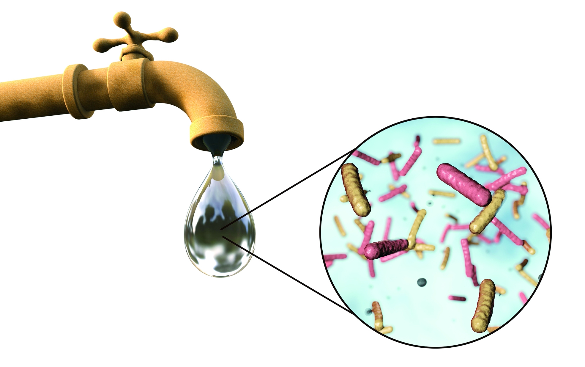 Микроорганизмы питьевой воды. Микроорганизмы в воде. Бактерии в воде. Микробы в воде. Бактерии в водопроводной воде.
