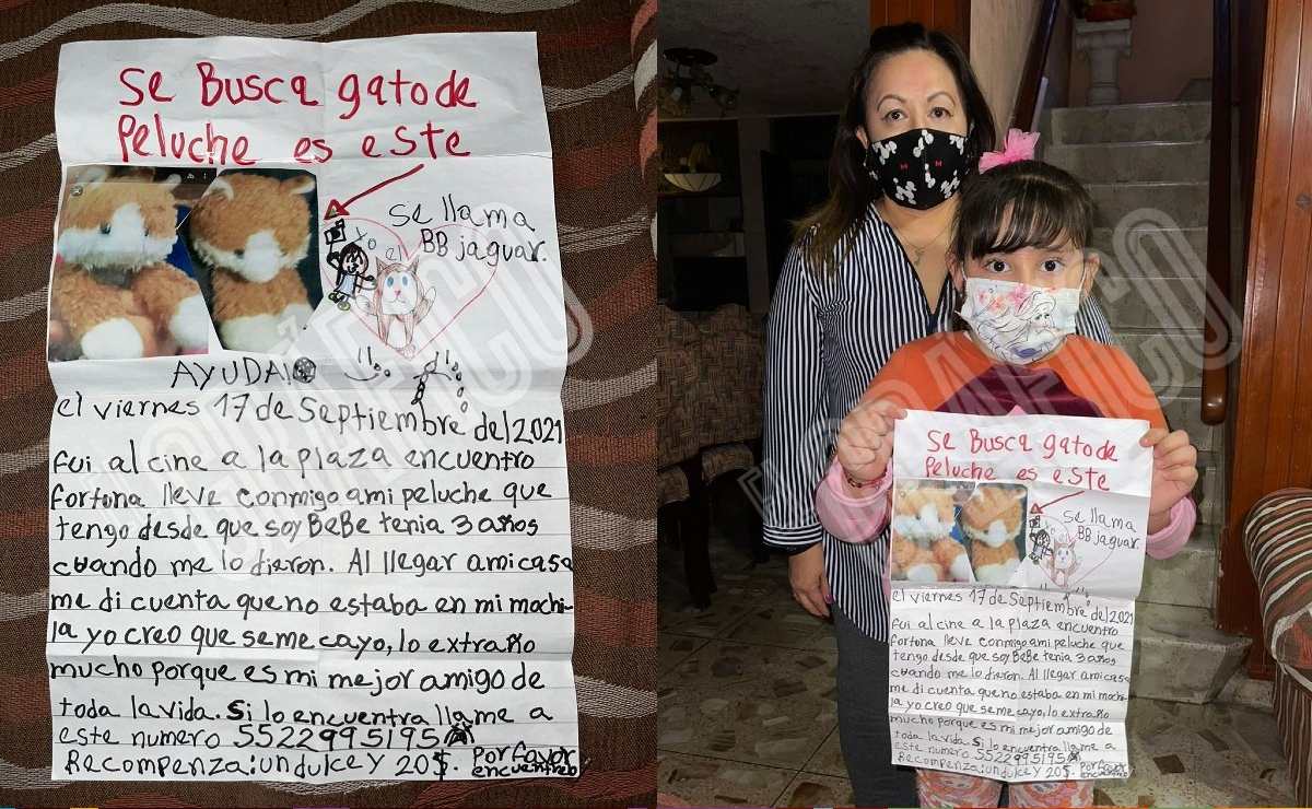 Niña pierde a su mejor amigo de peluche en CDMX, manda desgarrador mensaje  y se hace viral | El Gráfico Historias y noticias en un solo lugar