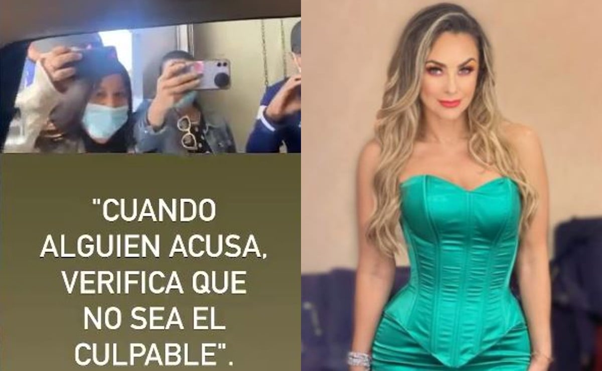 Aracely Arámbula revela video donde ella y sus hijos fueron agredidos por reporteros