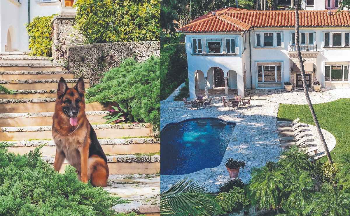 Gunther VI, el perro multimillonario pone a la venta su mansión en Miami