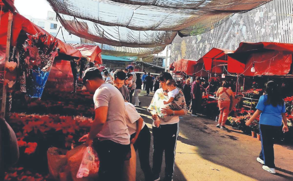 Por la inflación, peligra la venta de flor de Nochebuena en el Mercado  Jamaica de CDMX | El Gráfico Historias y noticias en un solo lugar