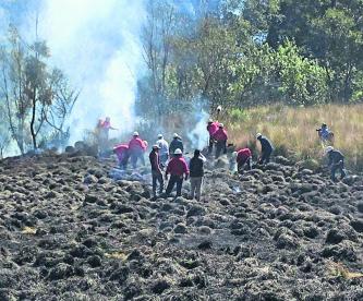 Probosque Incendios Flora Fauna Toluca