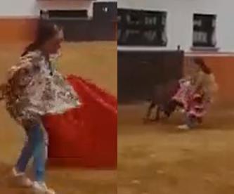 Difunden video de un toro embistiendo a senadora de Morena, en Baja California