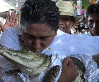 ¡Con todo y pachanga! Alcalde de Oaxaca se casa con un caimán, esta es la historia