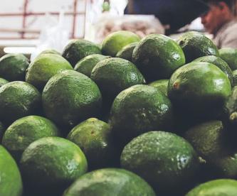 Hasta los limones ya se ven afectados por el crimen organizado en Michoacán