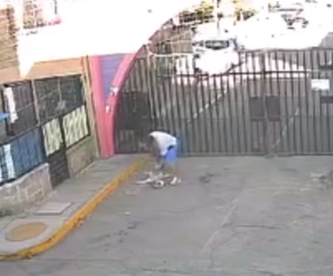 Video: Hombre golpea brutalmente a su perrita por no querer caminar, en Tultepec