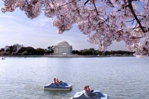 Las 7 mejores atracciones turísticas en Washington D.C. 