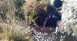 Contaminan canal con desechos industriales en Toluca. Noticias en tiempo real