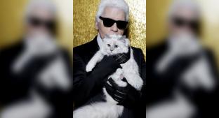 Muere el ícono de la moda y diseñador de Chanel, Karl Lagerfeld y le deja todo a su gatita. Noticias en tiempo real