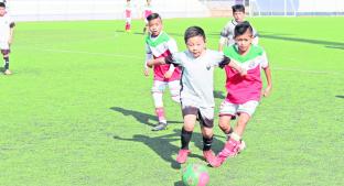 Pumas Sumiya es una de las mejores organizaciones deportivas en la Liga Élite de Morelos. Noticias en tiempo real