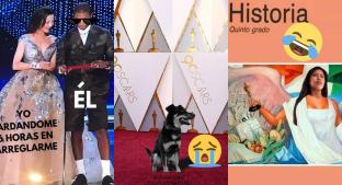 Memes se llevan el Oscar 2019 a lo más despiadado, te seleccionamos los más virales. Noticias en tiempo real
