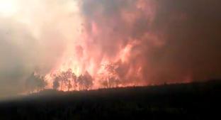 Desalojan a 100 familias de Las Vigas por peligroso incendio forestal, en Veracruz. Noticias en tiempo real