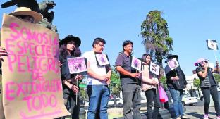 Continúan protestas contra maltrato animal, en Toluca. Noticias en tiempo real