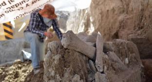 A más de cuatro metros de profundidad, hallan restos de mastodonte en Tultepec. Noticias en tiempo real