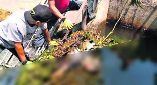 Hallan cadáver de hombre estancado entre basura de un canal en Morelos. Noticias en tiempo real