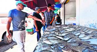 Coprisem detecta mojarras contaminadas en pescaderías de Edoméx. Noticias en tiempo real