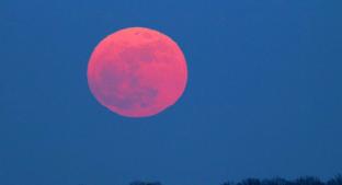 ¿Qué es la luna rosa y cuándo podrás verla?. Noticias en tiempo real