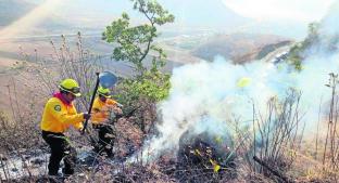 Fuego consume zona boscosa en Toluca. Noticias en tiempo real