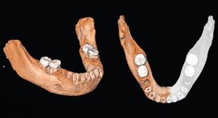 Hallan dentadura de un homínido de hace 160 mil años, en China . Noticias en tiempo real