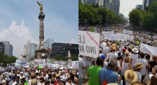 Realizan marcha en contra de AMLO sobre Paseo de la Reforma, en CDMX. Noticias en tiempo real