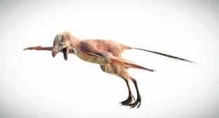 Hallan fósil de dinosaurio con alas de murciélago. Noticias en tiempo real