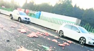 Una camioneta cargada de carne vuelca y sus tripulantes salen heridos, en la México-Toluca. Noticias en tiempo real