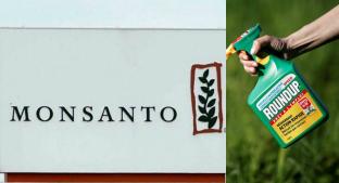 ¿Qué es Monsanto, la empresa envuelta en polémica por el herbicida Roundup?. Noticias en tiempo real