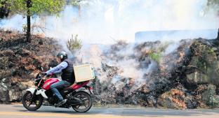Fuego Arrasa con bosques y pastizales, en Morelos. Noticias en tiempo real