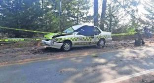 Taxista fallece tras ser aplastado por un árbol, en la carretera federal Toluca-Zitácuaro. Noticias en tiempo real