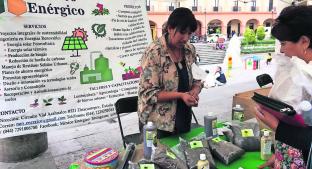 Dúo de jóvenes crea poderoso abono para la tierra en el Estado de México. Noticias en tiempo real