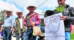 Pobladores indígenas forman 'cadena humana' para frenar tala clandestina, en el Edomex. Noticias en tiempo real