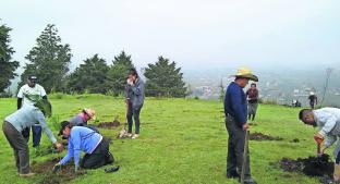 Pobladores se unen a campaña de reforestación de zona otomí, en Edomex. Noticias en tiempo real