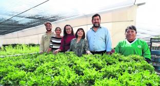 Asociación busca combatir inseguridad con clases de cultivo para jovenes, en Toluca. Noticias en tiempo real